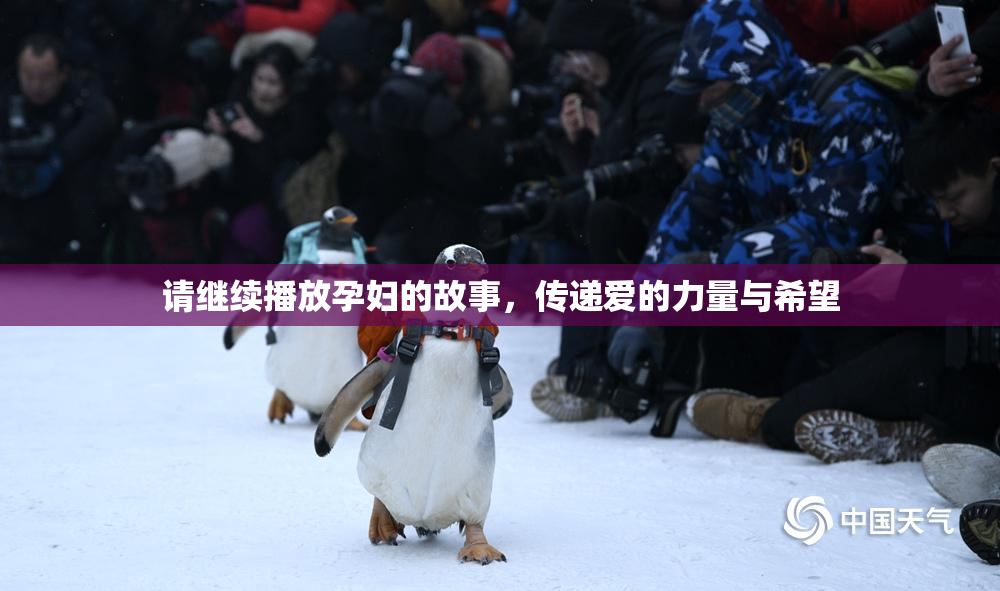 请继续播放孕妇的故事，传递爱的力量与希望
