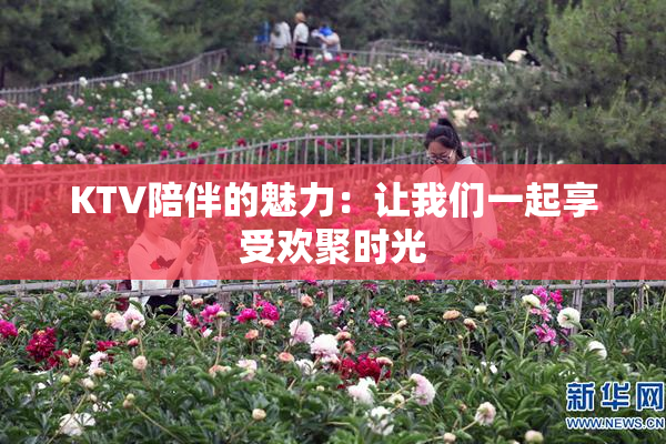 KTV陪伴的魅力：让我们一起享受欢聚时光