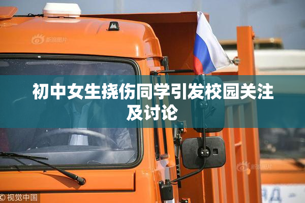 初中女生挠伤同学引发校园关注及讨论