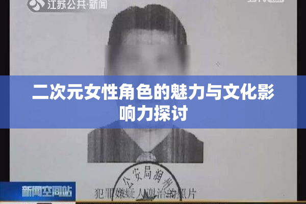 二次元女性角色的魅力与文化影响力探讨