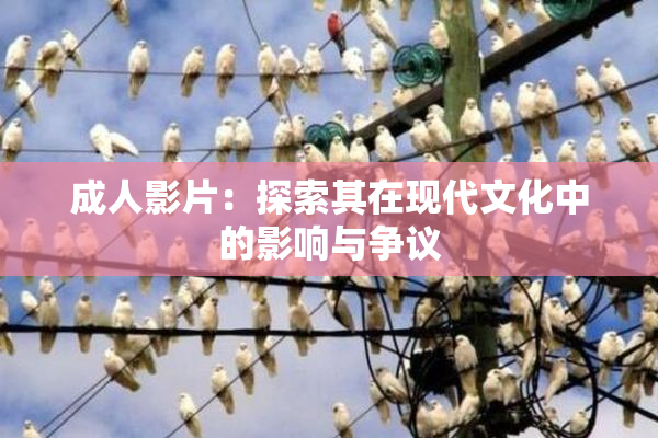 成人影片：探索其在现代文化中的影响与争议