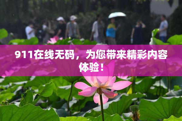 911在线无码，为您带来精彩内容体验！