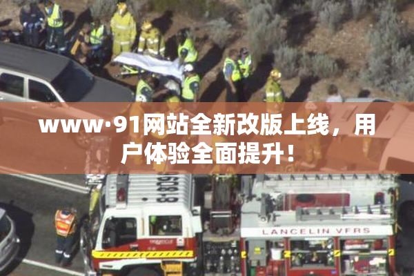 www·91网站全新改版上线，用户体验全面提升！