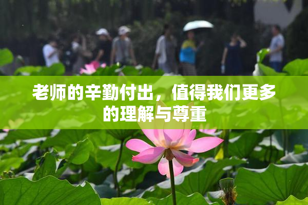 老师的辛勤付出，值得我们更多的理解与尊重