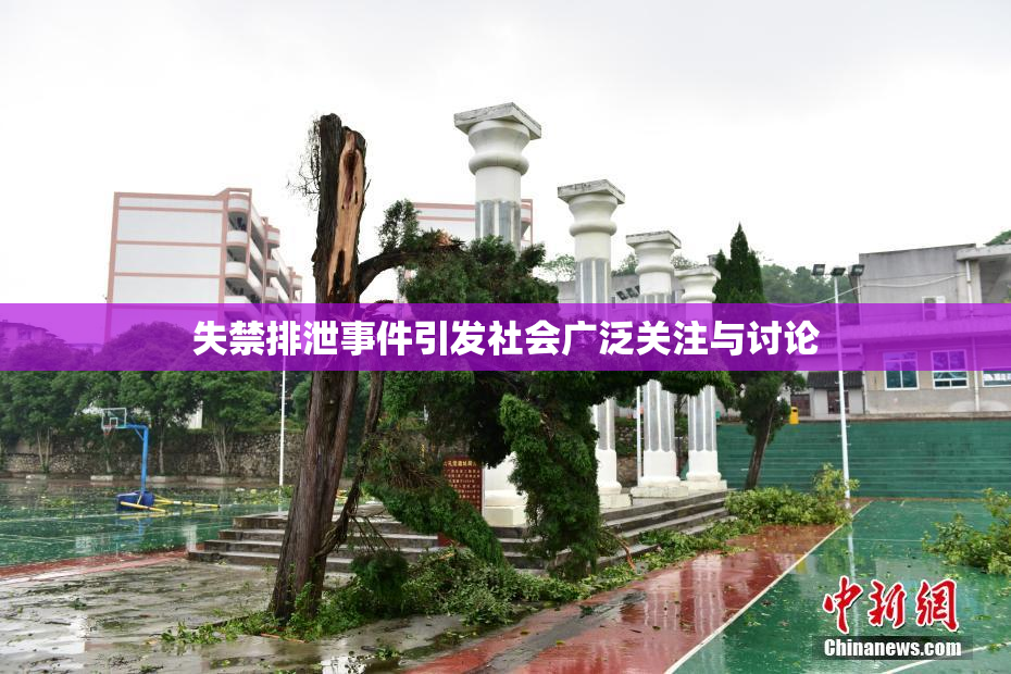 失禁排泄事件引发社会广泛关注与讨论