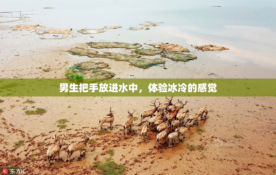 男生把手放进水中，体验冰冷的感觉