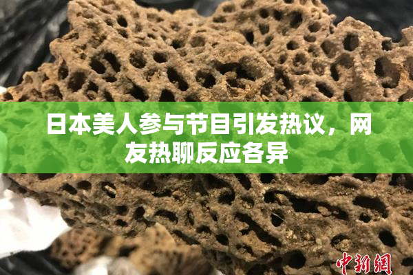 日本美人参与节目引发热议，网友热聊反应各异
