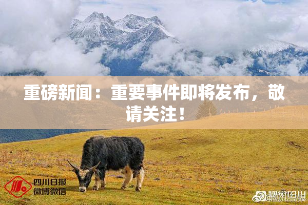 重磅新闻：重要事件即将发布，敬请关注！