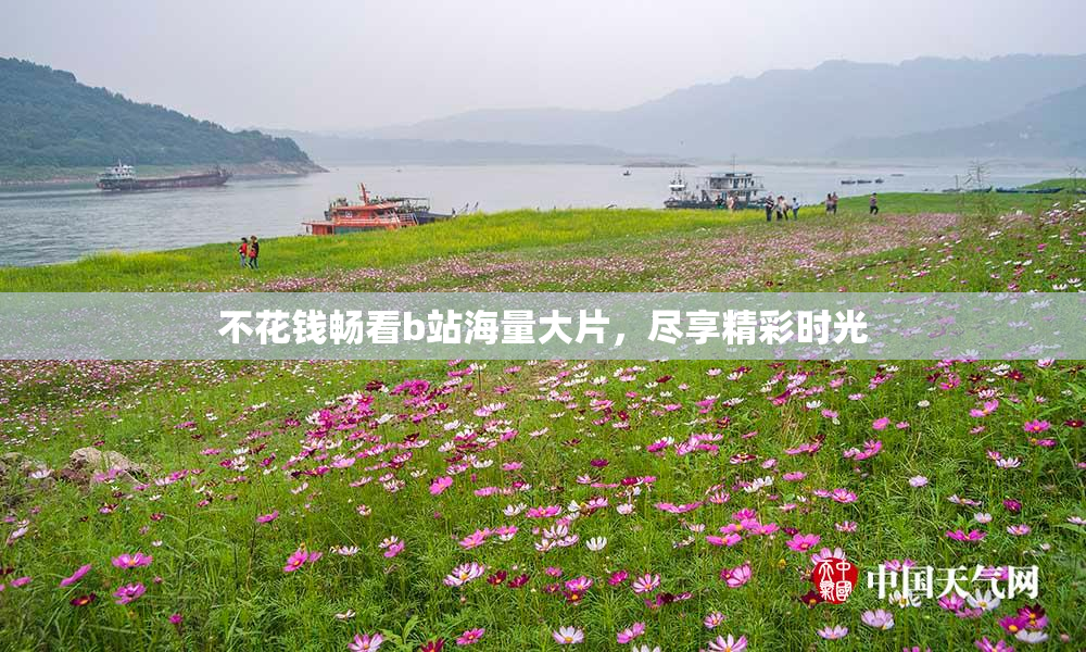 不花钱畅看b站海量大片，尽享精彩时光