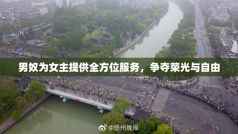男奴为女主提供全方位服务，争夺荣光与自由