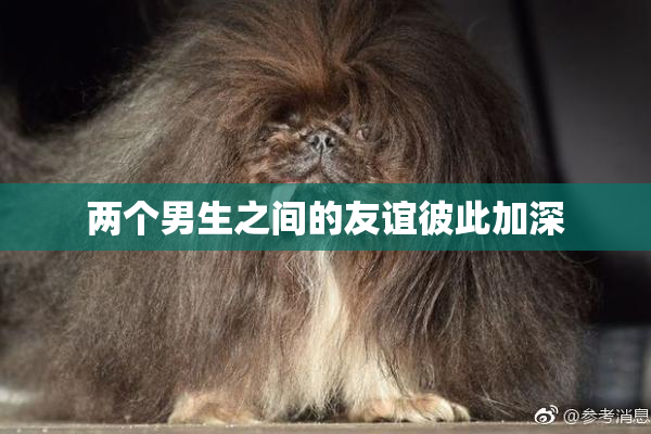 两个男生之间的友谊彼此加深