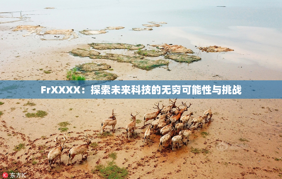 FrXXXX：探索未来科技的无穷可能性与挑战