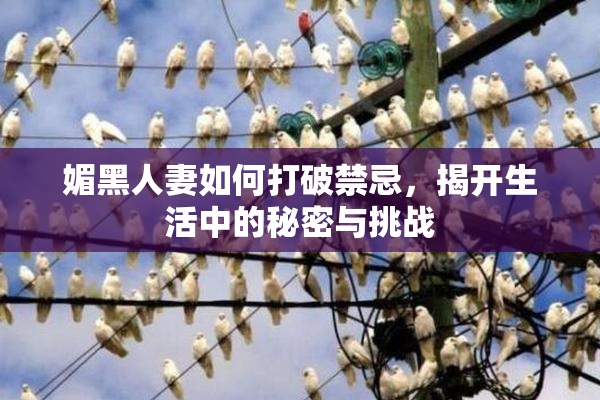 媚黑人妻如何打破禁忌，揭开生活中的秘密与挑战