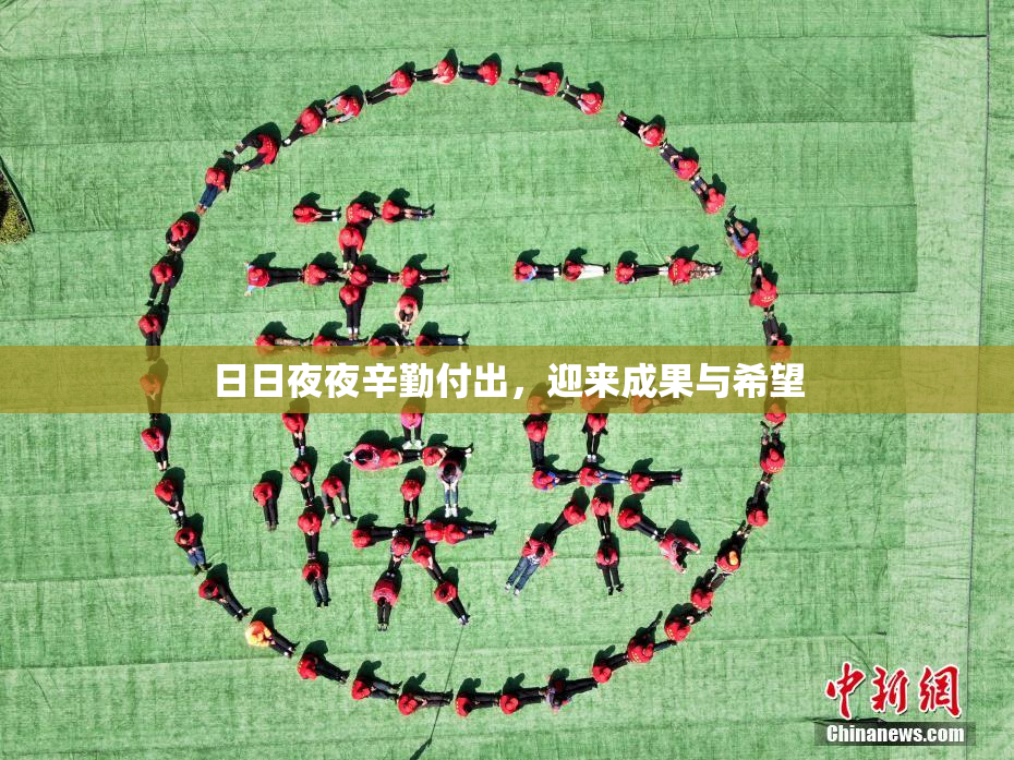 日日夜夜辛勤付出，迎来成果与希望