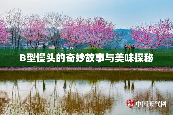 B型馒头的奇妙故事与美味探秘