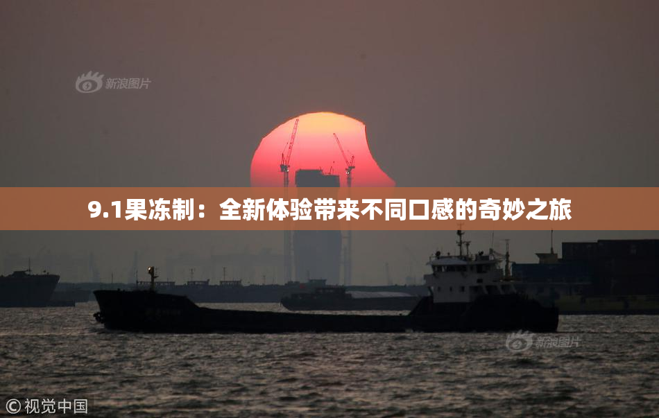 9.1果冻制：全新体验带来不同口感的奇妙之旅