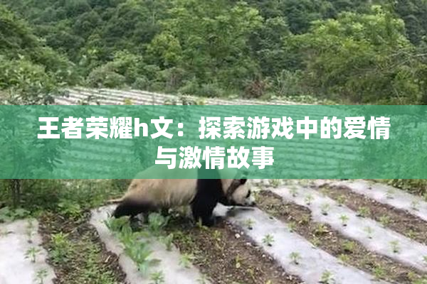 王者荣耀h文：探索游戏中的爱情与激情故事
