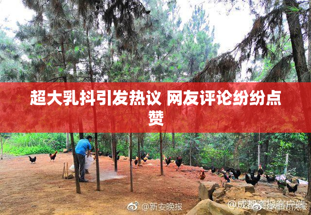 超大乳抖引发热议 网友评论纷纷点赞