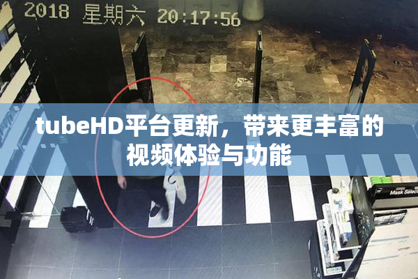 tubeHD平台更新，带来更丰富的视频体验与功能