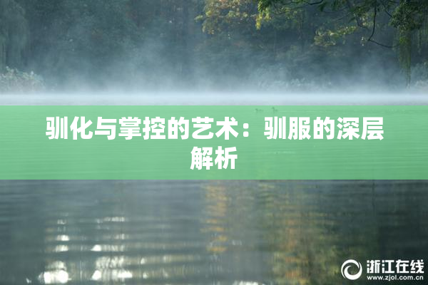 驯化与掌控的艺术：驯服的深层解析