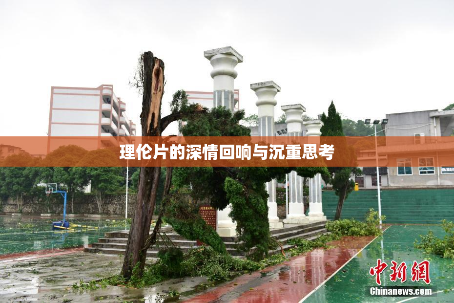 理伦片的深情回响与沉重思考