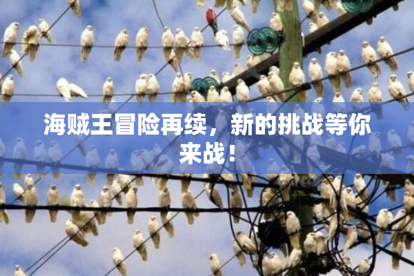海贼王冒险再续，新的挑战等你来战！