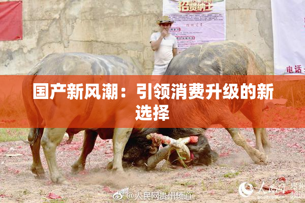 国产新风潮：引领消费升级的新选择