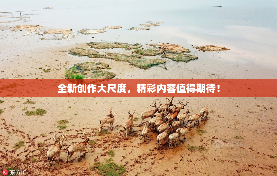 全新创作大尺度，精彩内容值得期待！