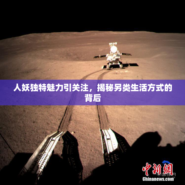 人妖独特魅力引关注，揭秘另类生活方式的背后