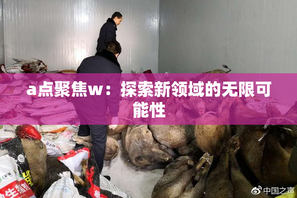 a点聚焦w：探索新领域的无限可能性