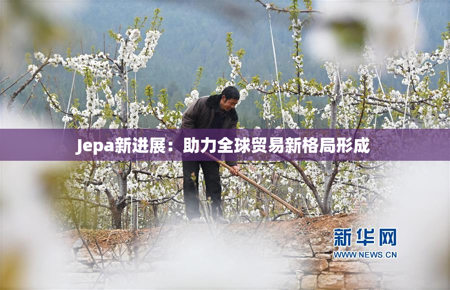 Jepa新进展：助力全球贸易新格局形成
