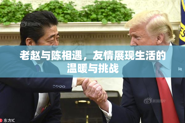 老赵与陈相遇，友情展现生活的温暖与挑战