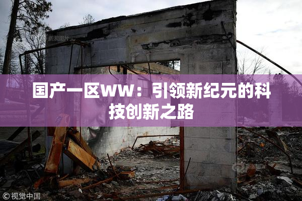 国产一区WW：引领新纪元的科技创新之路