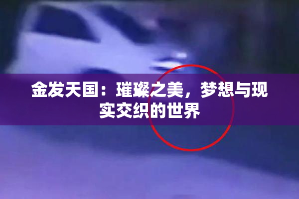 金发天国：璀璨之美，梦想与现实交织的世界