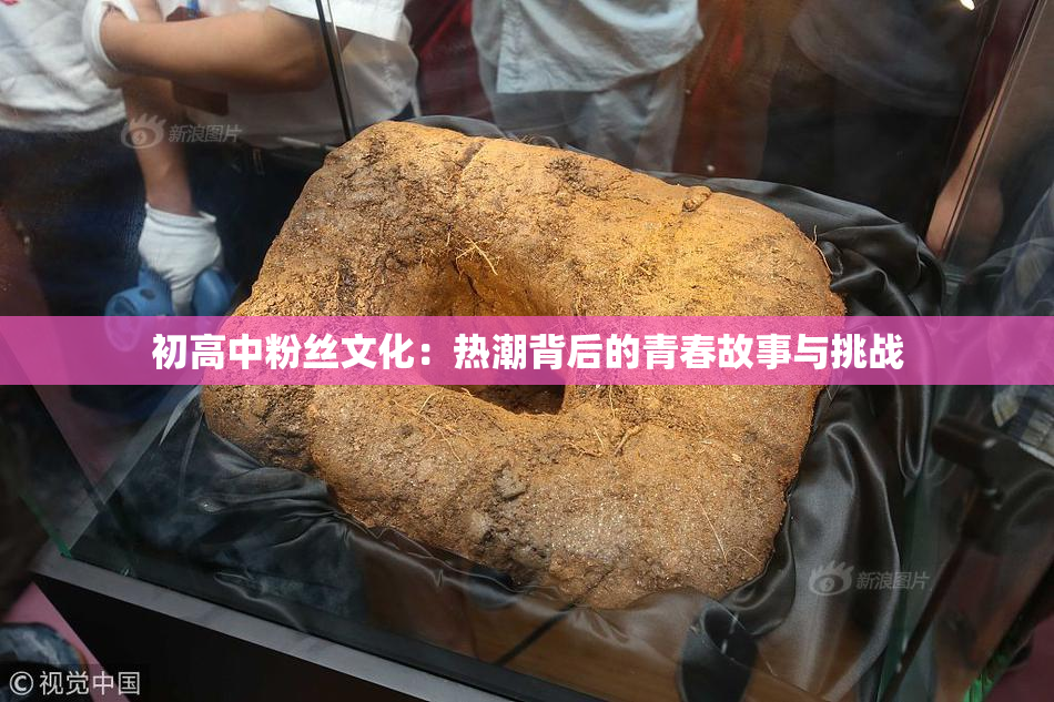 初高中粉丝文化：热潮背后的青春故事与挑战