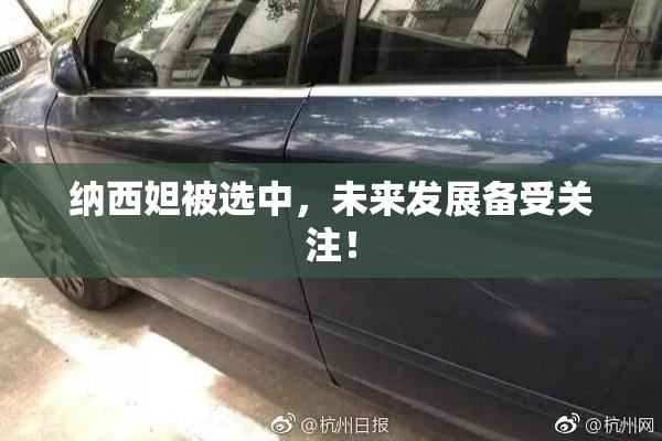 纳西妲被选中，未来发展备受关注！