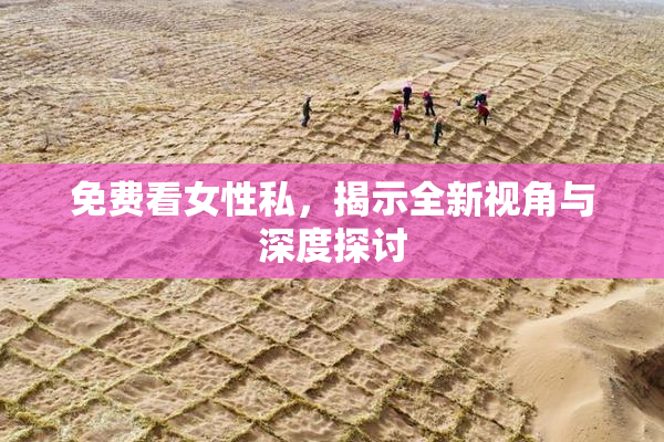 免费看女性私，揭示全新视角与深度探讨