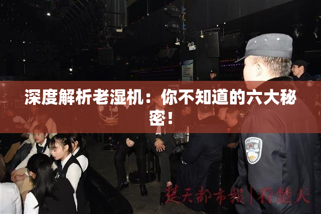 深度解析老湿机：你不知道的六大秘密！