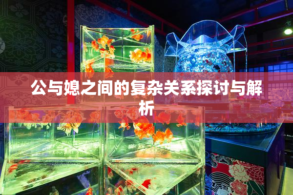 公与媳之间的复杂关系探讨与解析