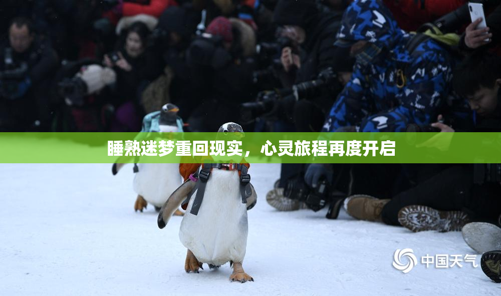 睡熟迷梦重回现实，心灵旅程再度开启