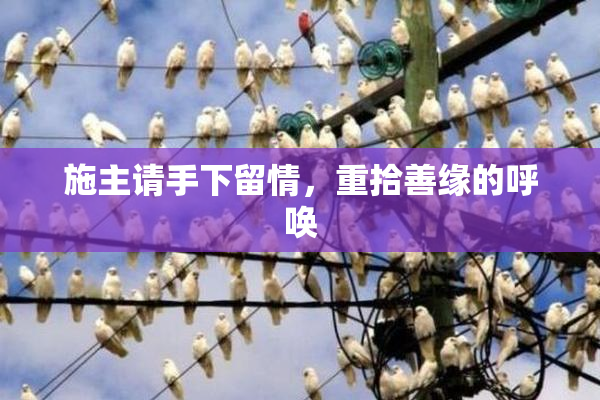 施主请手下留情，重拾善缘的呼唤