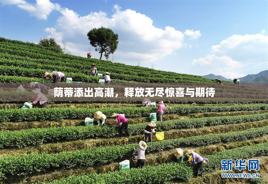 荫蒂添出高潮，释放无尽惊喜与期待