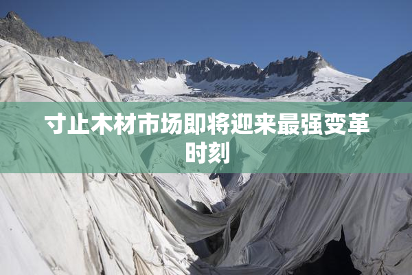 寸止木材市场即将迎来最强变革时刻