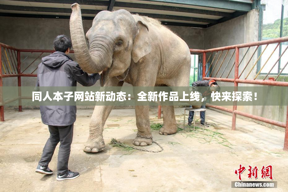 同人本子网站新动态：全新作品上线，快来探索！
