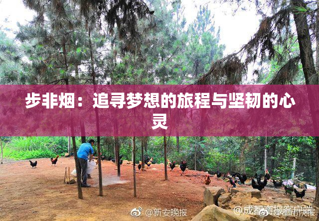 步非烟：追寻梦想的旅程与坚韧的心灵