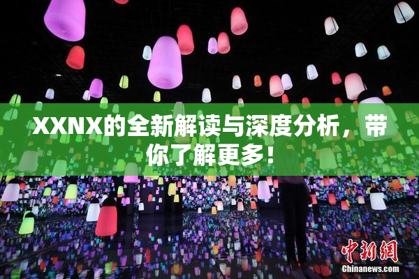 XXNX的全新解读与深度分析，带你了解更多！