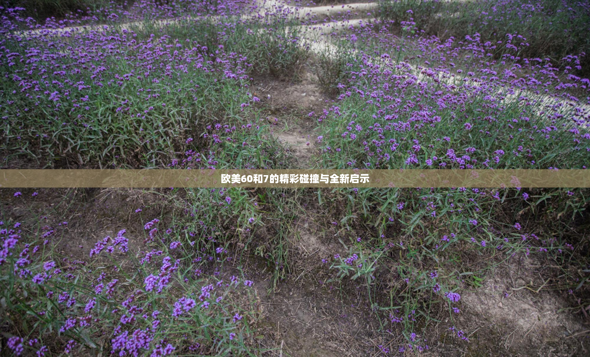 欧美60和7的精彩碰撞与全新启示