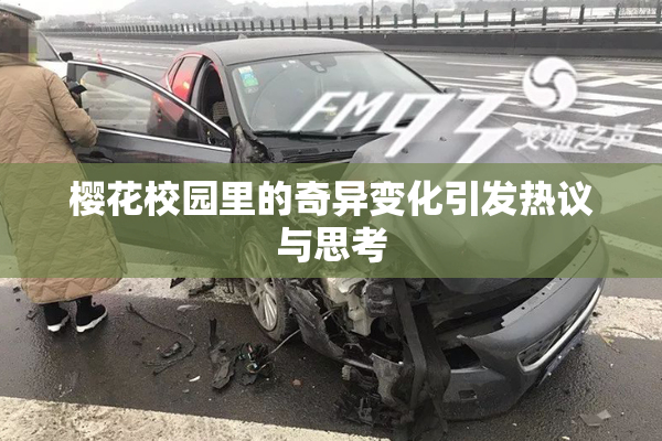 樱花校园里的奇异变化引发热议与思考
