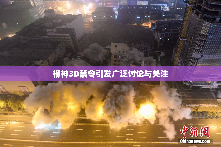 柳神3D禁令引发广泛讨论与关注