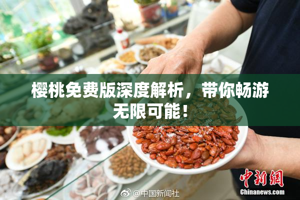 樱桃免费版深度解析，带你畅游无限可能！
